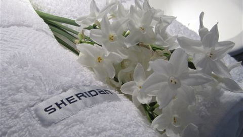 Maydays - Accommodation Nelson Bay 1