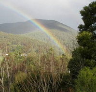 Wattletree Cottage - Accommodation Nelson Bay