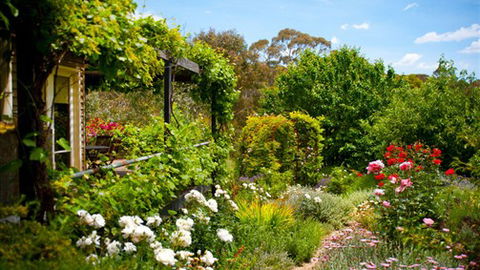 Kookaburra Ridge - Accommodation Nelson Bay 3