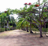 Alva Beach Tourist Park - Accommodation Nelson Bay