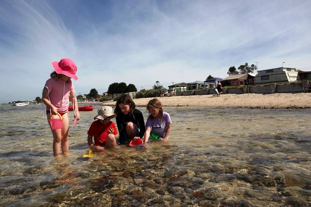 Indented Head VIC Nelsons Bay Accommodation