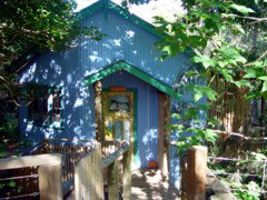 Blue Poles Cafe, Gallery & B&B - Accommodation Nelson Bay 0