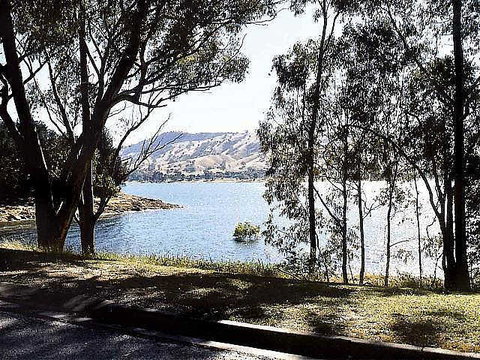 Ibis Styles Albury Lake Hume Resort - Nelsons Bay Accommodation 1