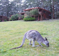 Jenolan Caves Cottages - Accommodation Nelson Bay