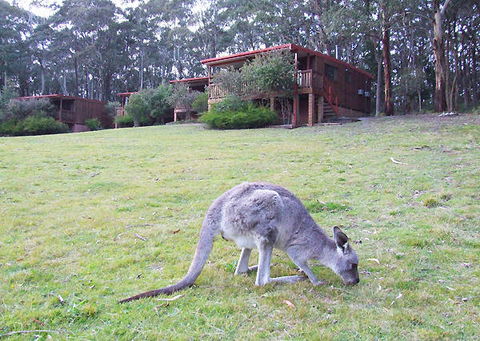 Jenolan Caves Cottages - Accommodation Nelson Bay 0