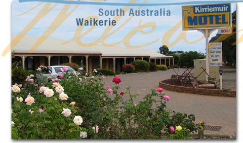 Kirriemuir Motel & Cabins - Accommodation Nelson Bay 1