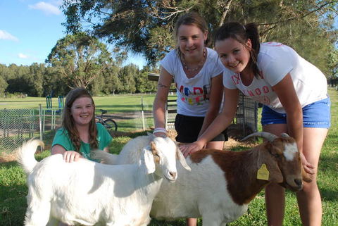 Mountain View Resort - Accommodation Nelson Bay 1