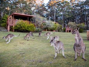 Jenolan Caves Cottages - Accommodation Nelson Bay 1