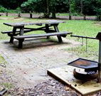 Bellbird campground - Accommodation Nelson Bay