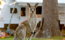 BIG4 Sunshine South West Rocks Holiday Park - South - Accommodation Nelson Bay 3