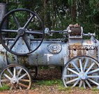 Dingo Tops campground - Accommodation Nelson Bay