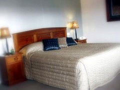 Saltbush Motor Inn - Accommodation Nelson Bay 4