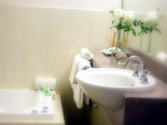 Saltbush Motor Inn - Accommodation Nelson Bay 5