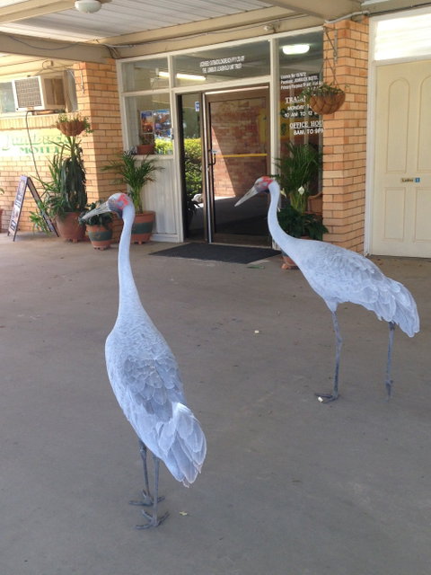 Jumbuck Motel Longreach - Accommodation Nelson Bay 2