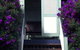 The Sanctuary Springbrook Guest House Cottage - thumb 2
