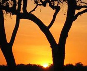 Coodardie Station Stay - Accommodation Nelson Bay 2
