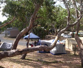Bimbi Park Camping Under Koalas - Accommodation Nelson Bay 1