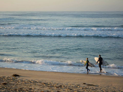 Wairo Beach Tourist Park - Accommodation Nelson Bay 2