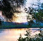 Tweed Coast Holiday Parks Hastings Point - Accommodation Nelson Bay