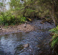 Horse Swamp campground - Accommodation Nelson Bay