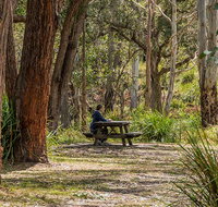 Koreelah Creek campground - Accommodation Nelson Bay