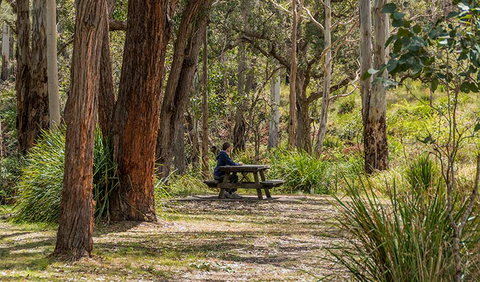 Koreelah Creek Campground - Accommodation Nelson Bay 0