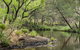 Koreelah Creek Campground - thumb 1