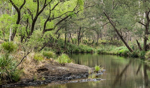 Koreelah Creek Campground - Accommodation Nelson Bay 1