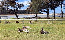 Lake Conjola Entrance Holiday Park - Accommodation Nelson Bay 2
