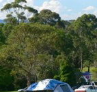Milton Valley Holiday Park - Accommodation Nelson Bay