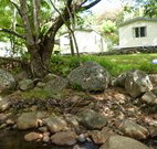 Mt Warning Rainforest Park - Accommodation Nelson Bay