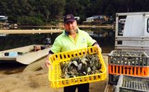 Patonga Camping Area - Accommodation Nelson Bay 2