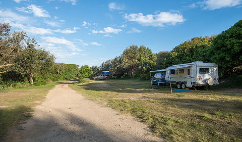 Racecourse Campground - Accommodation Nelson Bay 0