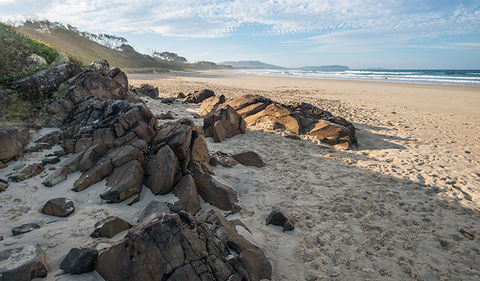 Racecourse Campground - Accommodation Nelson Bay 1