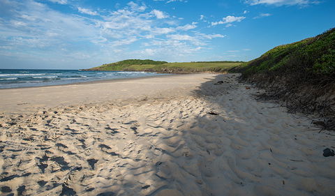 Racecourse Campground - Accommodation Nelson Bay 2