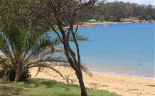 Sapphire Sun Eco Holiday Village - Eden - Accommodation Nelson Bay 0