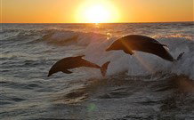 Sapphire Sun Eco Holiday Village - Eden - Accommodation Nelson Bay 3