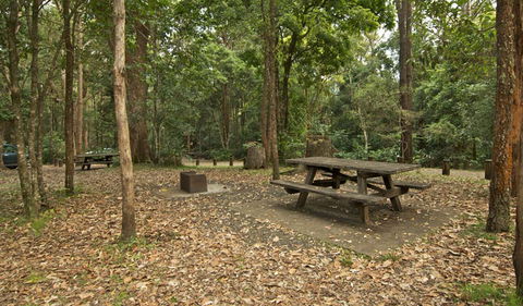 Sheepstation Creek Campground - Accommodation Nelson Bay 0