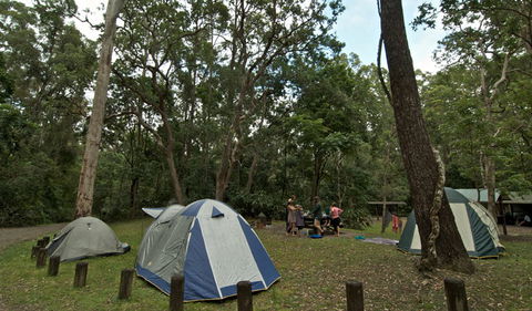 Sheepstation Creek Campground - Accommodation Nelson Bay 2