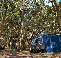 Stewart and Lloyds campground - Accommodation Nelson Bay