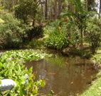 Tallowood Ridge B and B - Accommodation Nelson Bay