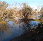 Warrawong on the Darling - Accommodation Nelson Bay