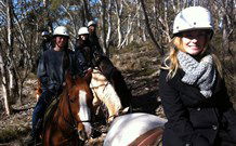 JE Resort (Jindabyne Equestrian Resort) - Accommodation Nelson Bay 1
