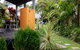 Moby's Beachside Retreat - thumb 2