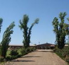 Newell Motor Inn - Narrandera - Accommodation Nelson Bay
