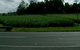 Poinciana Motel - Murwillumbah - thumb 1