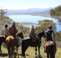 Reynella Homestead and Horseback Rides - Accommodation Nelson Bay