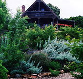 Country Charm Swiss Cottages - Accommodation Nelson Bay