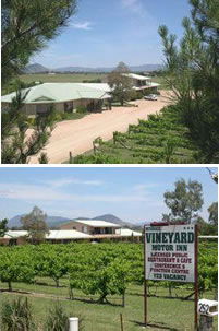 Mudgee Vineyard Motor Inn - Accommodation Nelson Bay 0
