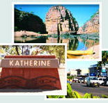 Red Gum Tourist Park - Accommodation Nelson Bay